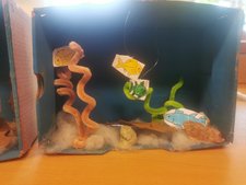 Zuerst hat die AG ein Aquarium gebastelt. Alle haben überlegt, wie es gestaltet werden soll.