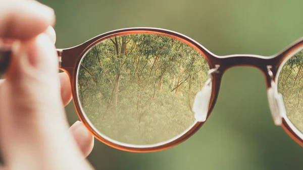Brille vor grünen Hintergrund