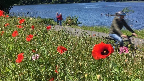 Stadtteil‐Entdecker