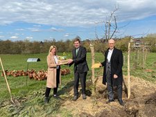 Dr. Ann-Katrin Glüsing, Geschäftsführerin der Franz Sales Werkstätten, August-Wilhelm Albert, Vorstand der PSD Bank Rhein-Ruhr und Hubert Vornholt, Direktor des Franz Sales Hauses, (v.l.) mit dem frisch gepflanzten Birnbaum.