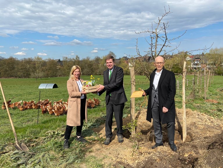 Dr. Ann-Katrin Glüsing, Geschäftsführerin der Franz Sales Werkstätten, August-Wilhelm Albert, Vorstand der PSD Bank Rhein-Ruhr und Hubert Vornholt, Direktor des Franz Sales Hauses, (v.l.) mit dem frisch gepflanzten Birnbaum.