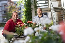 Mitarbeiter des- Garten- und Landschaftsbaus