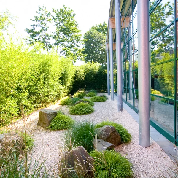 Rückseite des Schwimmbads mit Blick auf Bambus und ein gepflegtes Gartenstück mit Gräsern