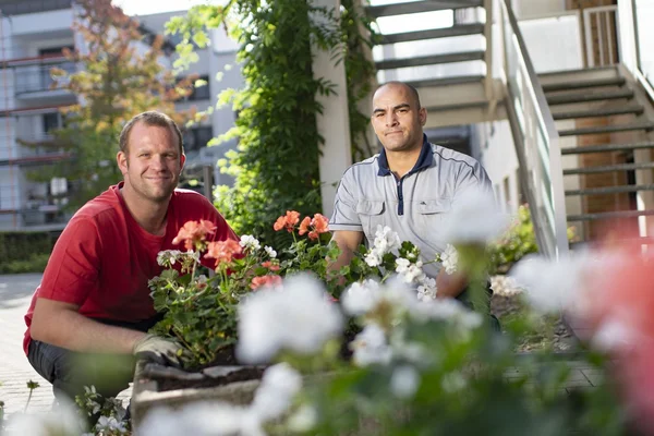 Zwei Männer pflanzen Blumen im Garten vor einem Gebäude.