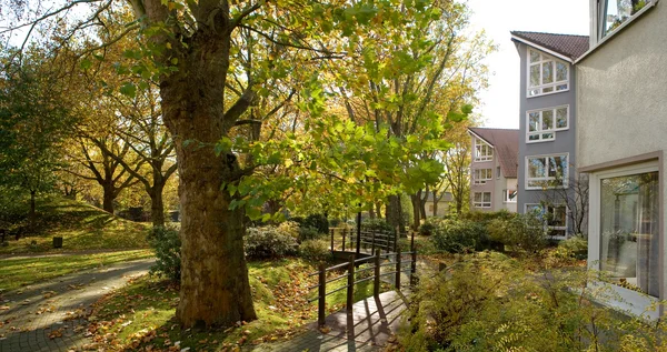 Garten mit Bäumen und Gebäuden im Hintergrund bei sonnigem Wetter.