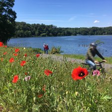 Die Franz Sales Radler waren im Aktionszeitraum viel unterwegs.