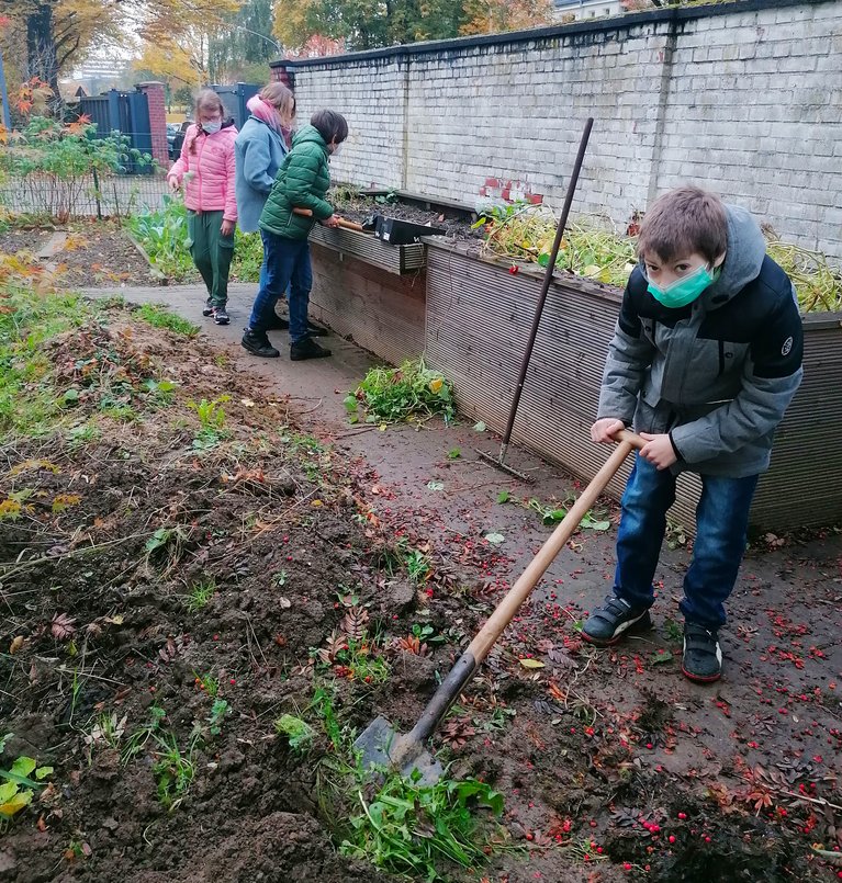 Die Mitglieder der Garten-AG säen und pflegen ihre Pflanzen.