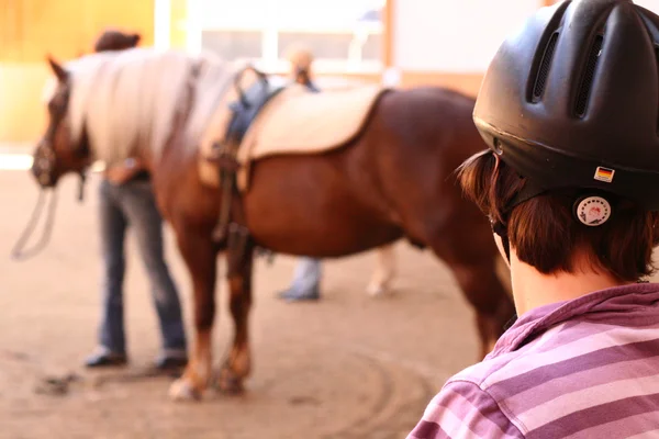 Person mit Helm betrachtet Therapiepferd in Reithalle.